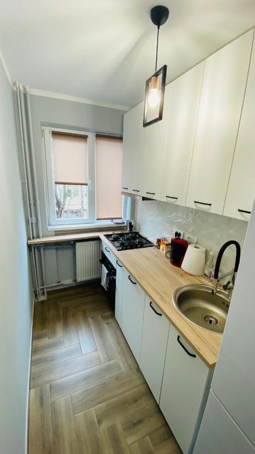 Dacia Apartment Timişoara Buitenkant foto