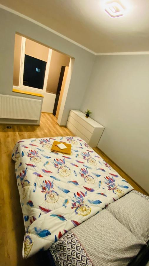 Dacia Apartment Timişoara Buitenkant foto